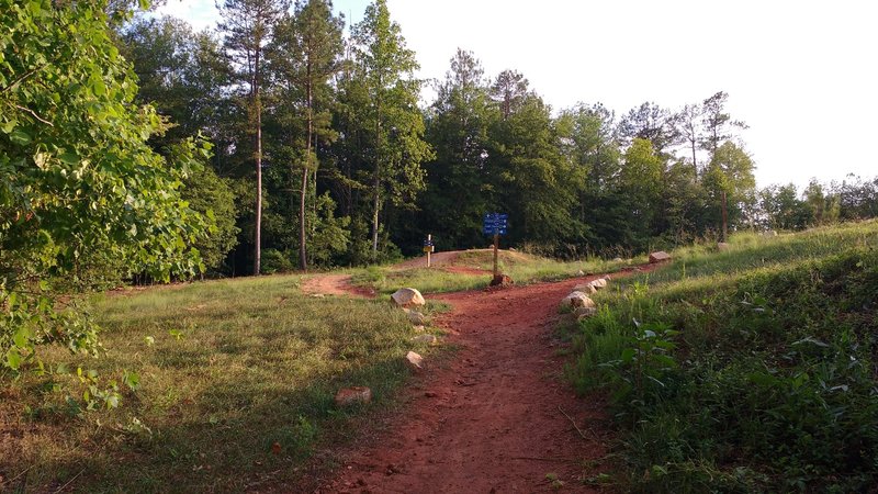 Dirt jumps and Dragon's Back to the left, pump track to the right.