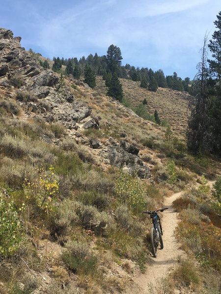 Trail here has a bit of a soft/sandy surface. Later it turns into one long hard packed rock garden as you gain elevation.