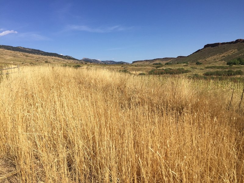 Looking north towards Horsetooth Rock at junction of Indian Summer Loop.