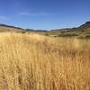 Looking north towards Horsetooth Rock at junction of Indian Summer Loop.