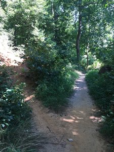 Fun sections along the way.