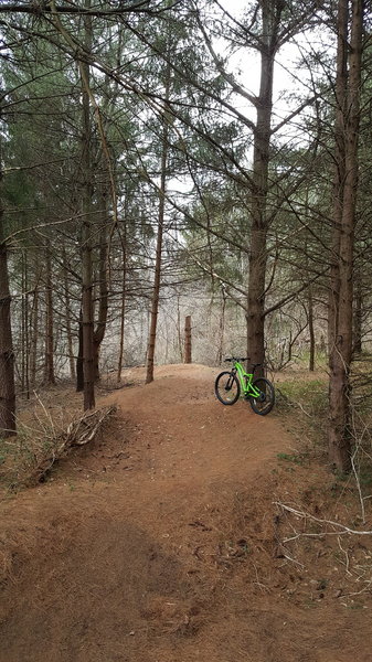 This is the top of the downhill track. Picture taken early spring.