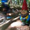 Gnomies on the trail!