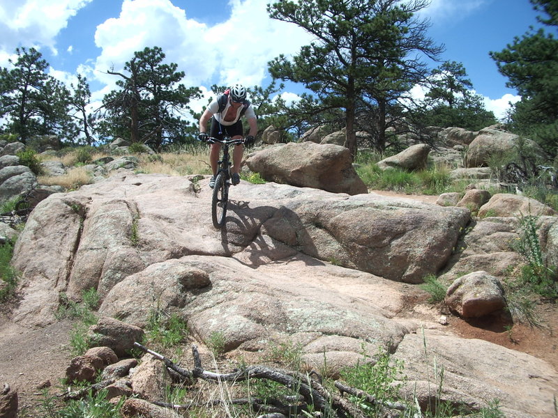 Rock garden.