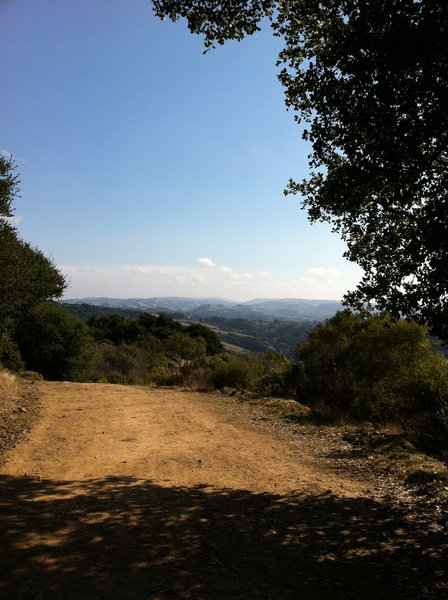 Finding shade on the Live Oak Trail.