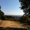 Finding shade on the Live Oak Trail.