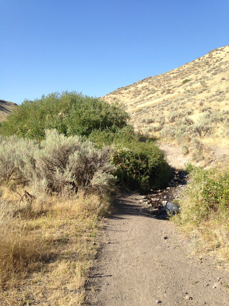 One of many creek crossings. This one is even still going in late August this year.