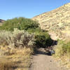 One of many creek crossings. This one is even still going in late August this year.