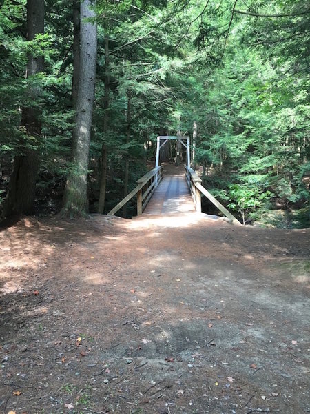 Townsend Bridge - all of the trails are on the other side!