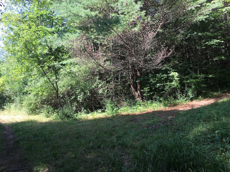 Intersection of Townsend Loop and Switchback.