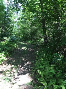 Intersection of Ira's and Switchback.