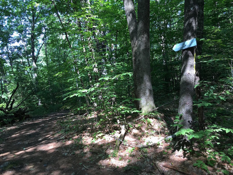 Trail to access Farnum Trails off Ira's Loop.