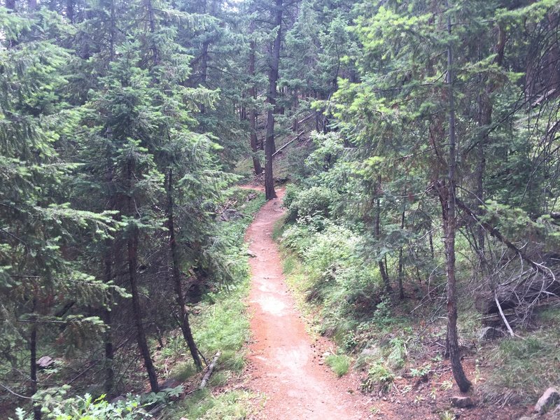 Climbing Plymouth Creek Trail.