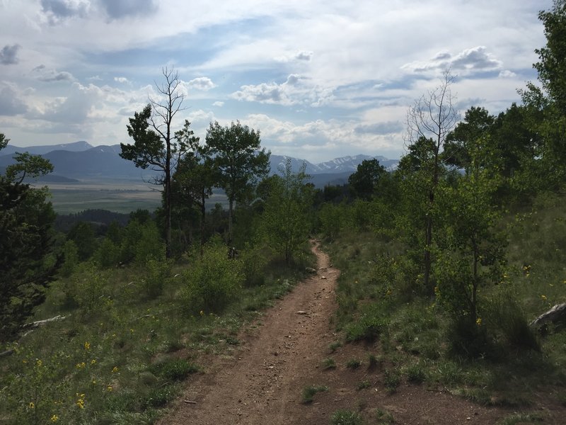 A fun downhill through the Aspens.