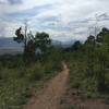 A fun downhill through the Aspens.