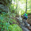 Climbing up to Coal Knob on G Trail. Jakes Rocks Trail System. Warren, PA.