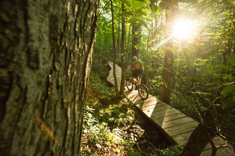 Jake's Rocks Trail Riding through a lush section on A Trail at Jakes Rocks Trail System ...