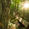 Riding through a lush section on A Trail at Jakes Rocks Trail System. Warren, PA.