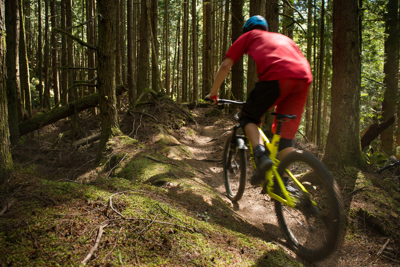 Pedaling by on the narrow singletrack of Raptor Ridge.