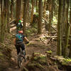 Erin and Lee checking out the goods on Raptor Ridge.