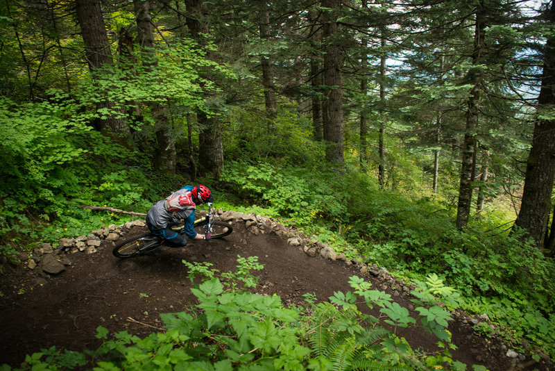 Tight turns through the lush forest along the Cold Creek Trail.