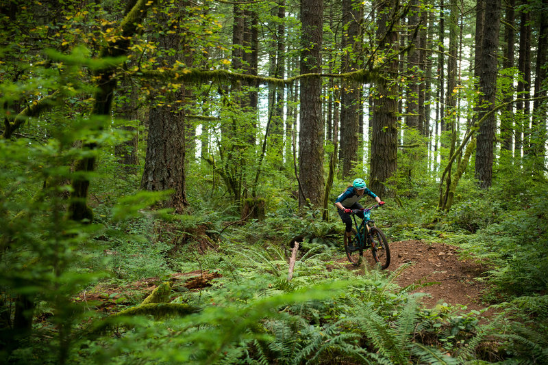 Kim Hardin pedals through a flatter section of Thrillium during the Cascadia Dirt Cup.