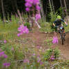 Jason Ding rides the berms in the clearcut of the Cold Creek Trail.