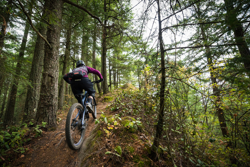 Karen O'Connell powers up a short punchy rise on the Lower Ridge Trail.