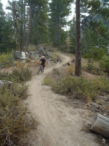 A flowing section of the trail, well worn by motorcycles.