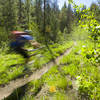 The ride down North Fork Deer Creek