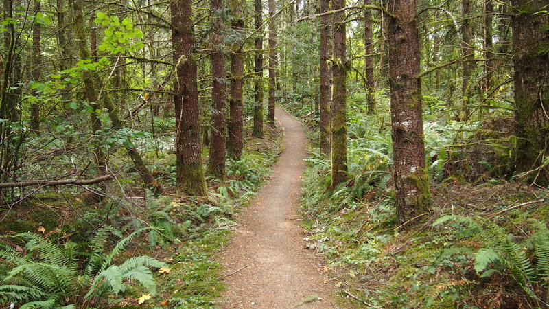 Starting off on the Rim Trail.