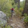 Liz rides a rocky chute.