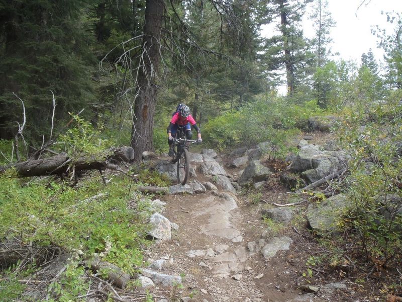 Another of the short rocky sections of trail.