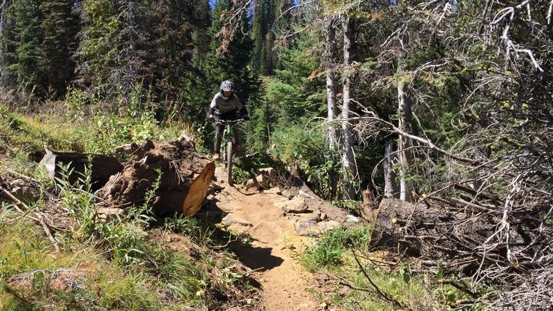 Smokejumper Trail at Tamarack Resort.