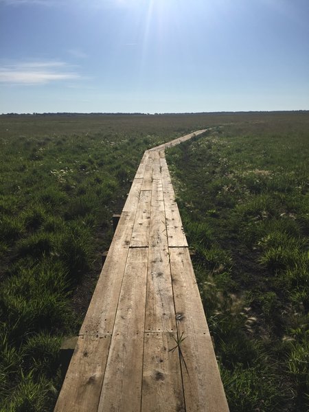 New-ish boardwalk.