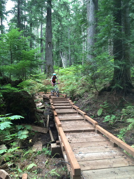 Great boardwalks.