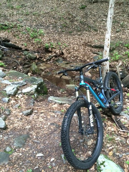 Crossing a stream.