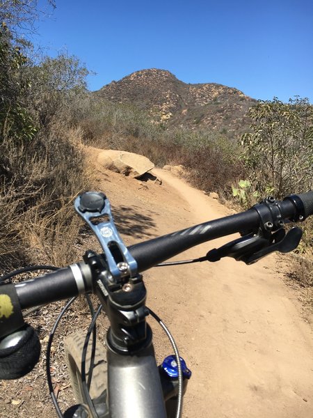 Camarillo Canyon Trail ascending to Serrano Ridge.