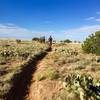 Cattle Fence Trail.