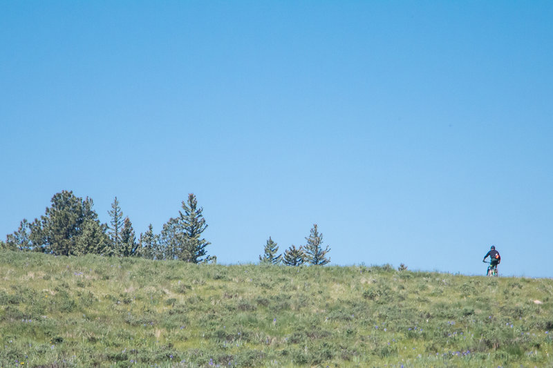 Awesome high forest riding on Elliot Barker.