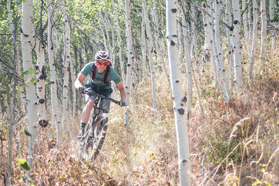 Aspens everywhere as you come down from the top of PCMR.
