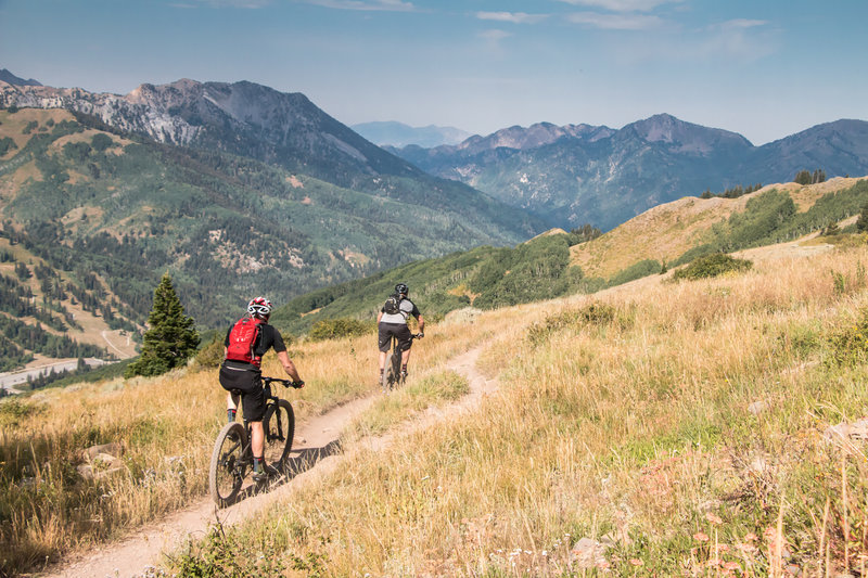 Near the top of the Wasatch Crest Trail, looking down into Big Cottonwood Canyon.