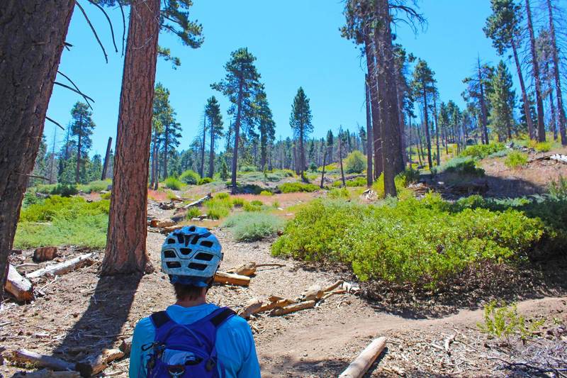 Skyline Trail, Big Bear Lake.