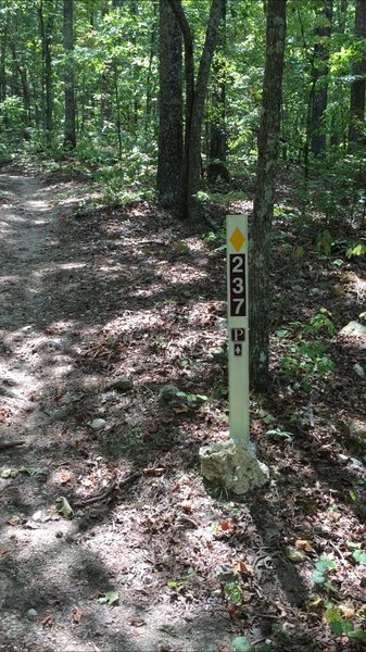 The trails are not marked by name, just blazes and numbers. Dry Creek is Yellow #237.