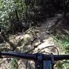 Looking down the Rocky Road on the POGO'S PLACE loop.