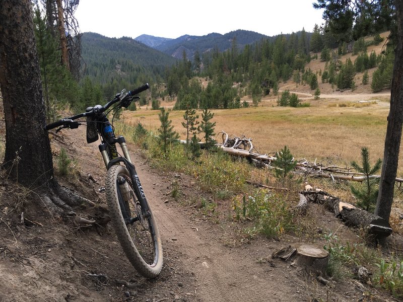 An easy ride around a hilltop surrounded by forests and meadows.