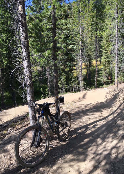 Even the novice trails here have banked corners. You know, just in case...