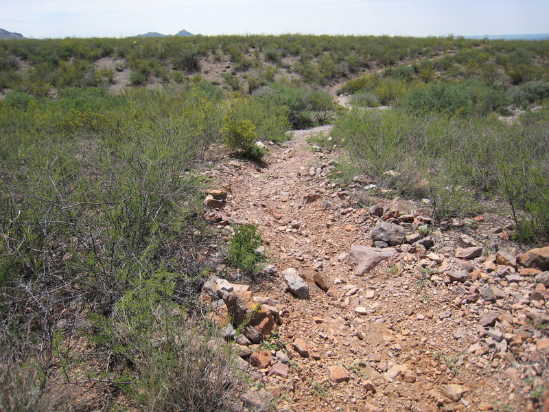 Sierra Vista Trail near the Dripping Springs trailhead.