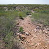 Sierra Vista Trail near the Dripping Springs trailhead.