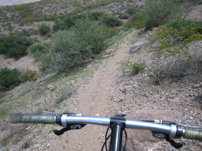 Sierra Vista Trail near the Dripping Springs trailhead.